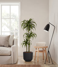 Load image into Gallery viewer, Stone Black