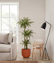 Load image into Gallery viewer, Earth Red