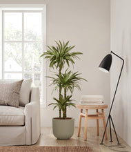 Load image into Gallery viewer, Sage Green