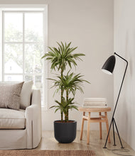 Load image into Gallery viewer, Stone Black