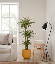 Load image into Gallery viewer, Sunset Orange