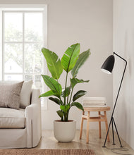 Load image into Gallery viewer, Natural Bamboo