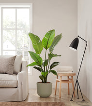 Load image into Gallery viewer, Sage Green