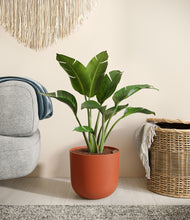 Load image into Gallery viewer, Earth Red