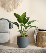 Load image into Gallery viewer, Iron Gray