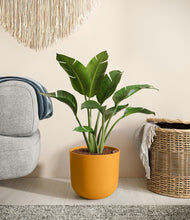 Load image into Gallery viewer, Sunset Orange