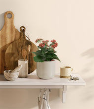 Load image into Gallery viewer, Natural Bamboo