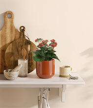 Load image into Gallery viewer, Glossy Red