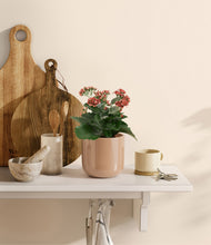 Load image into Gallery viewer, Glossy Pink