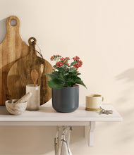 Load image into Gallery viewer, Iron Gray