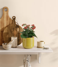 Load image into Gallery viewer, Key Lime Yellow