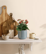 Load image into Gallery viewer, Misty Blue