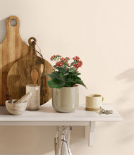 Load image into Gallery viewer, Sage Green