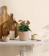 Load image into Gallery viewer, Sandy Pink