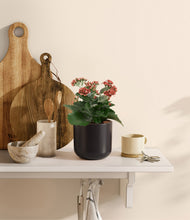 Load image into Gallery viewer, Stone Black