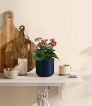 Load image into Gallery viewer, Twilight Blue