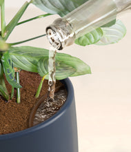 Load image into Gallery viewer, Deep Navy