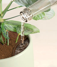 Load image into Gallery viewer, Turquoise