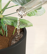 Load image into Gallery viewer, Black