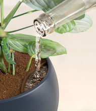 Load image into Gallery viewer, Deep Navy