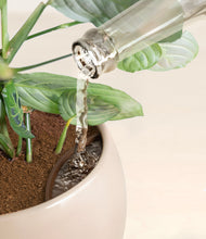 Load image into Gallery viewer, Desert Brown