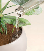 Load image into Gallery viewer, Winter Clouds