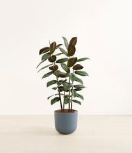 Load image into Gallery viewer, Iron Gray*****Profile