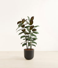 Load image into Gallery viewer, Stone Black*****Profile