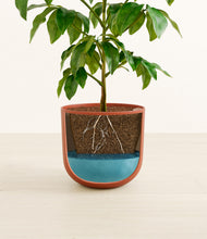 Load image into Gallery viewer, Earth Red