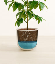 Load image into Gallery viewer, Natural Bamboo