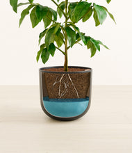 Load image into Gallery viewer, Stone Black