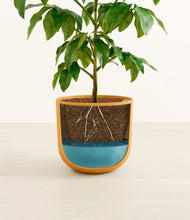 Load image into Gallery viewer, Sunset Orange