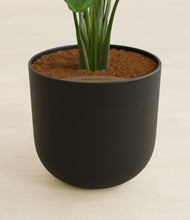 Load image into Gallery viewer, Stone Black
