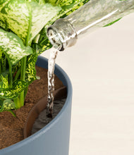 Load image into Gallery viewer, Iron Gray stand:all
