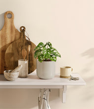 Load image into Gallery viewer, Cotton White

