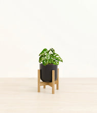 Load image into Gallery viewer, Stone Black stand:light

