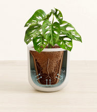 Load image into Gallery viewer, Natural Bamboo stand:all
