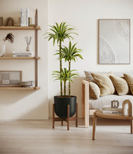 Load image into Gallery viewer, Stone Black stand:walnut
