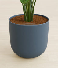 Load image into Gallery viewer, Iron Gray
