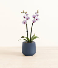 Load image into Gallery viewer, Deep Navy*****Profile

