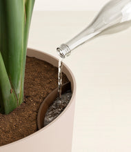 Load image into Gallery viewer, Sandy Pink
