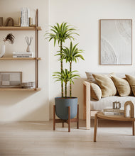 Load image into Gallery viewer, Iron Gray stand:walnut
