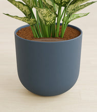 Load image into Gallery viewer, Iron Gray stand:all
