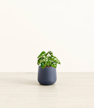 Load image into Gallery viewer, Deep Navy*****Profile
