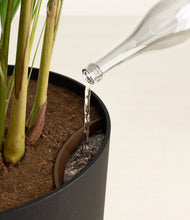 Load image into Gallery viewer, Stone Black
