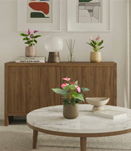 Load image into Gallery viewer, Woodland
