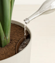 Load image into Gallery viewer, Natural Bamboo
