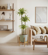 Load image into Gallery viewer, Sage Green stand:bamboo
