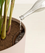 Load image into Gallery viewer, Sandy Pink
