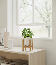 Load image into Gallery viewer, Cotton White stand:dark
